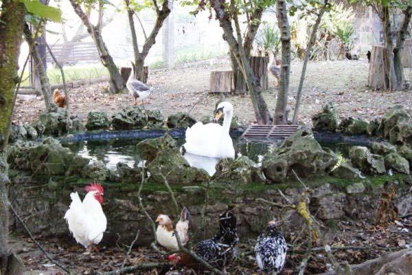 Apartamentos Rurales Rincon De Aiara Menagaray Bagian luar foto
